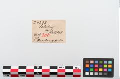 Etiketten zu Perlenkette (NHMW-PRAE-024298)